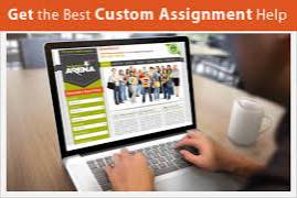 paper assignment help