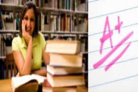 essays to buy online