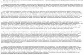 literary essay example