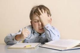 essay structure